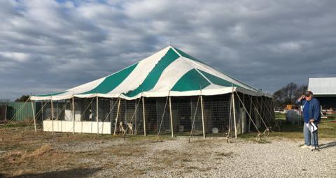 Auction tents