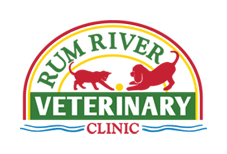 RUM River Veterinary Clinic