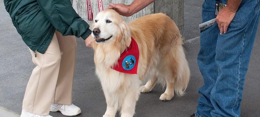 A Very Good Dog: A Tribute to a Four-Legged Park Volunteer